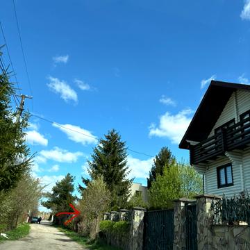 Салютна