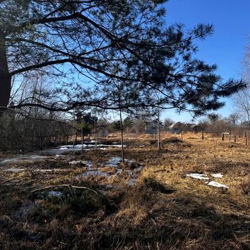 Клавдієво-Тарасове, Бучанський, Київська область 7500.0 USD