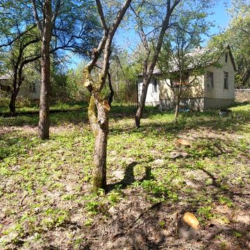 Озеро, Брюховичі, Львівський, Львівська область 27500.0 USD