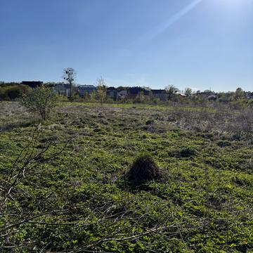 небесної сотні