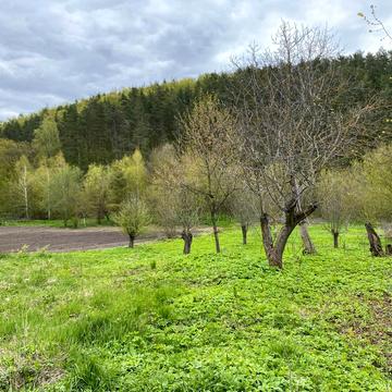 Старий Почаїв, Кременецький, Тернопільська область 11600.0 USD