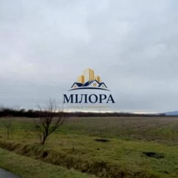 Концівська