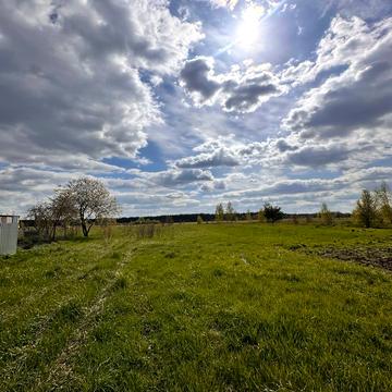 Дружня, Бучанський, Київська область 10000.0 USD