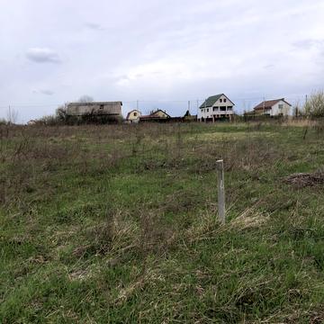 Польова