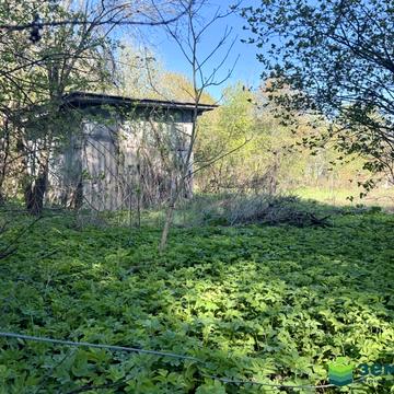 Микитинці, Івано-Франківський, Івано-Франківська область 8500.0 USD