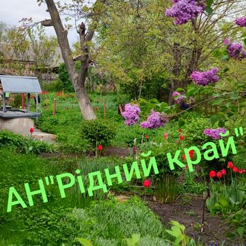 Центральна