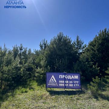 Лісова вул.