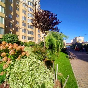 Миру вул., 50