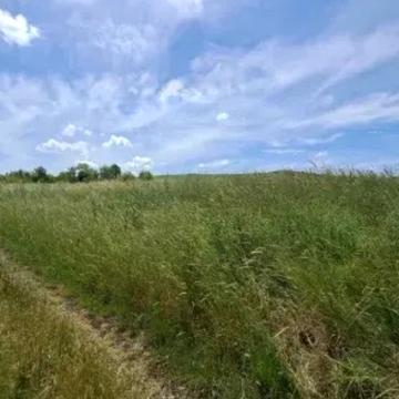 Гута, Ужгородський, Закарпатська область 11000.0 USD