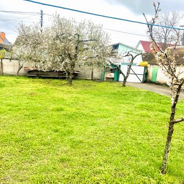 Мархалівка, Фастівський, Київська область 33500.0 USD