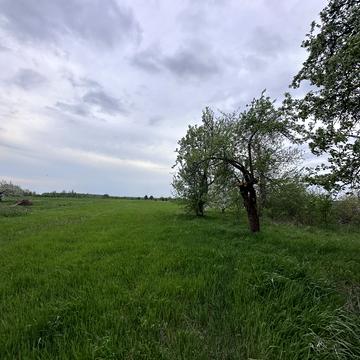 Лісова вул.