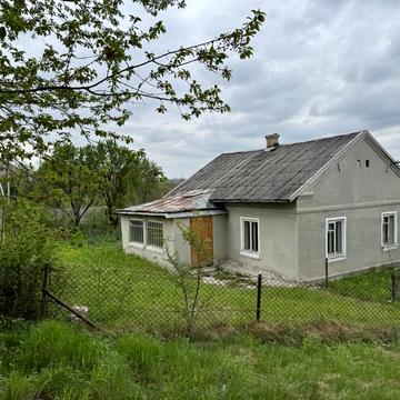 Залужська