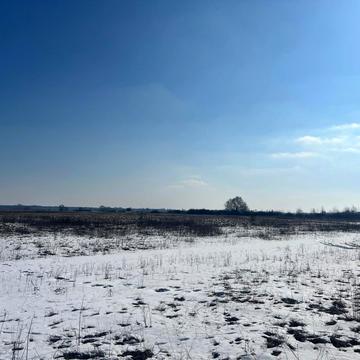 Центральна