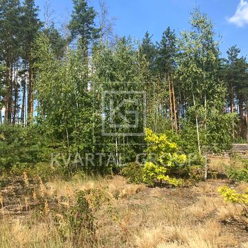 Центральна площа, Ірпінь, Бучанський, Київська область 85000.0 USD