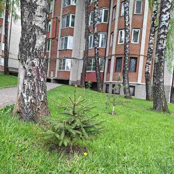 Чернівецька вул., 63