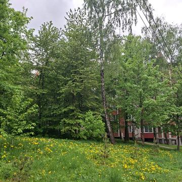 Чернівецька вул., 65