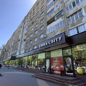 Вячеслава Чорновола просп. (), 45