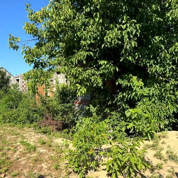 Баранинці, Ужгородський, Закарпатська область 60000.0 USD