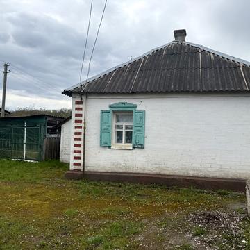Центральна