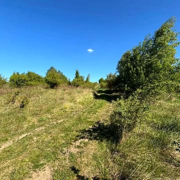 Оріховиця, Ужгородський, Закарпатська область 100000.0 USD