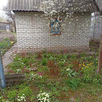 Миру просп., 290