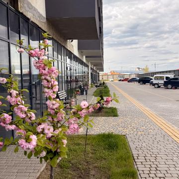 Владислава Бувалкіна вул. (Бочарова Генерала), (Будинок 1)