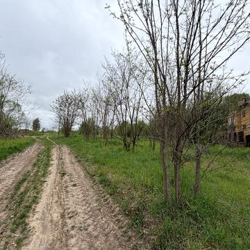 Гостомельський ринок, Гостомель, Бучанський, Київська область 75000.0 USD