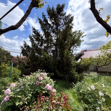 Молодіжна вул., 30