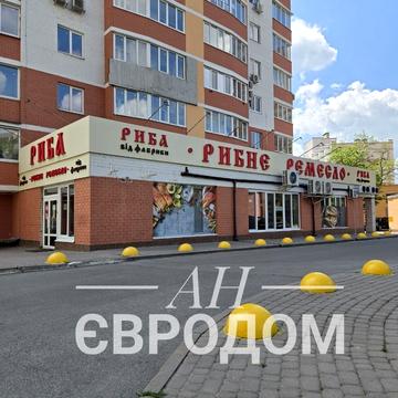 Мирослава Мисли вул. (Цілиноградська), 58а