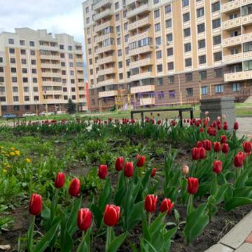 Відродження вул., 7