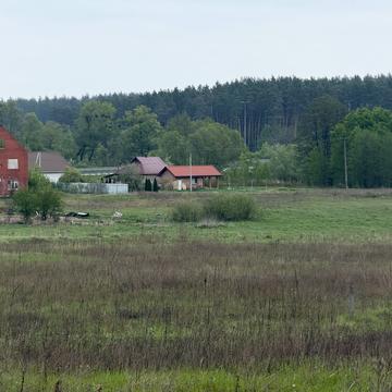 Центральна вул.