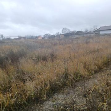 Грибна