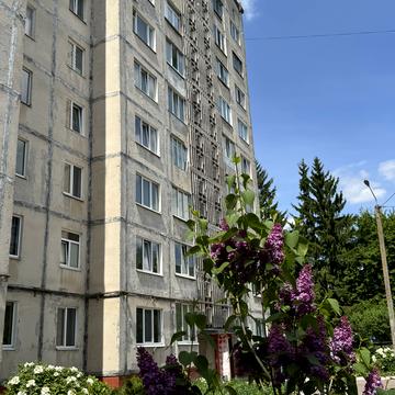 Кобзарська вул. (Пухова), 17
