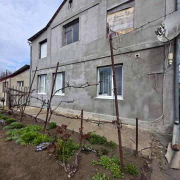 злаковая, 245