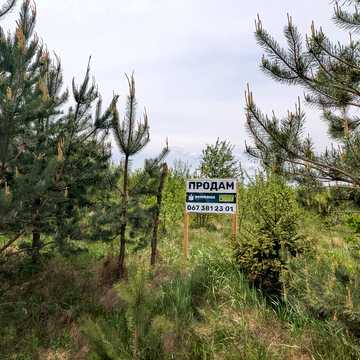 Братківці, Івано-Франківський, Івано-Франківська область 6500.0 USD