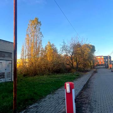 Алмазова