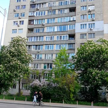 Митрополита Василя Липківського вул. (Урицького), 31