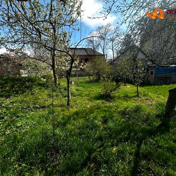 Центральна