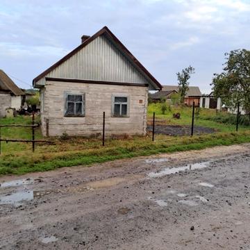 Зелена