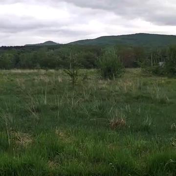 Ірчана