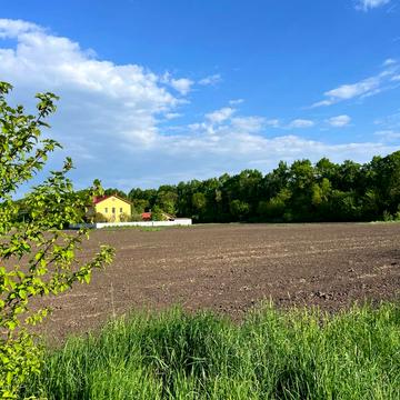 Андрія стрілка, 31