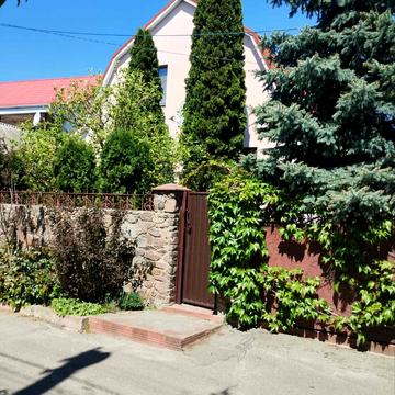 Археологічна вул.