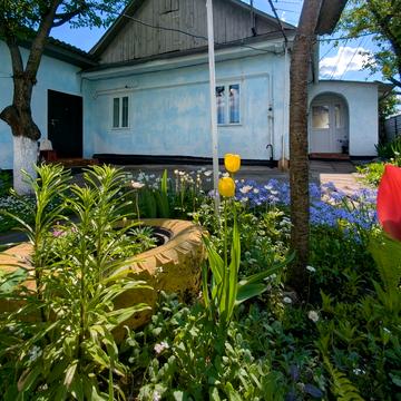Застав'я