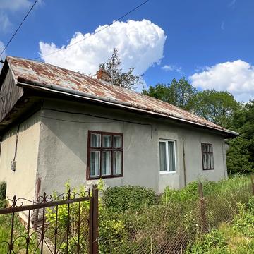 Черника, 3