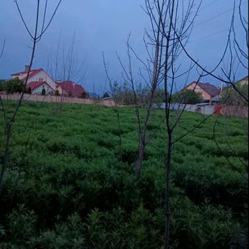 Зимна Вода, Львівський, Львівська область 9000.0 USD
