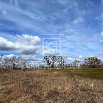 Озера, Бучанський, Київська область 9500.0 USD