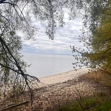 Жовтнева