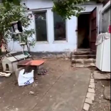 Балківська вул. (Фрунзе вул.), 95