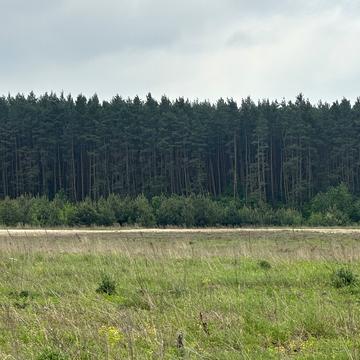 Вороців, Яворівський, Львівська область 60000.0 USD