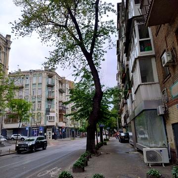 Олеся Гончара вул., 75